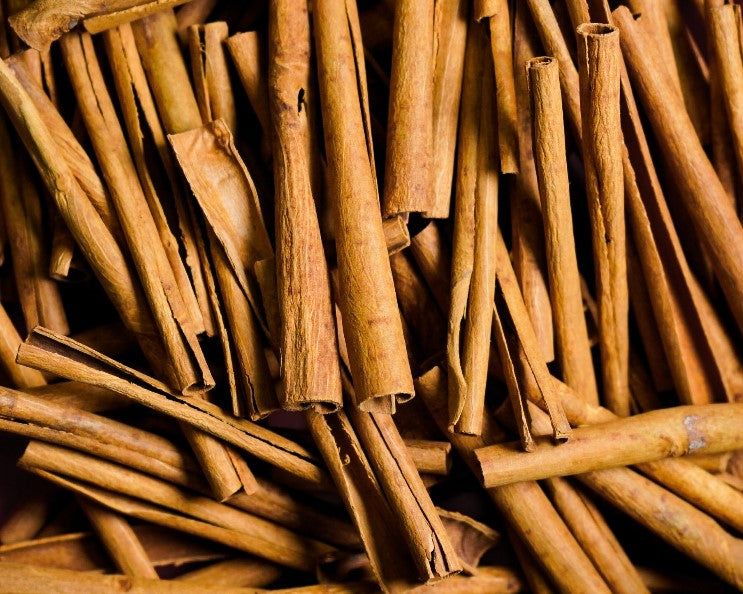 Premium Saigon Cinnamon (2.75" Sticks)