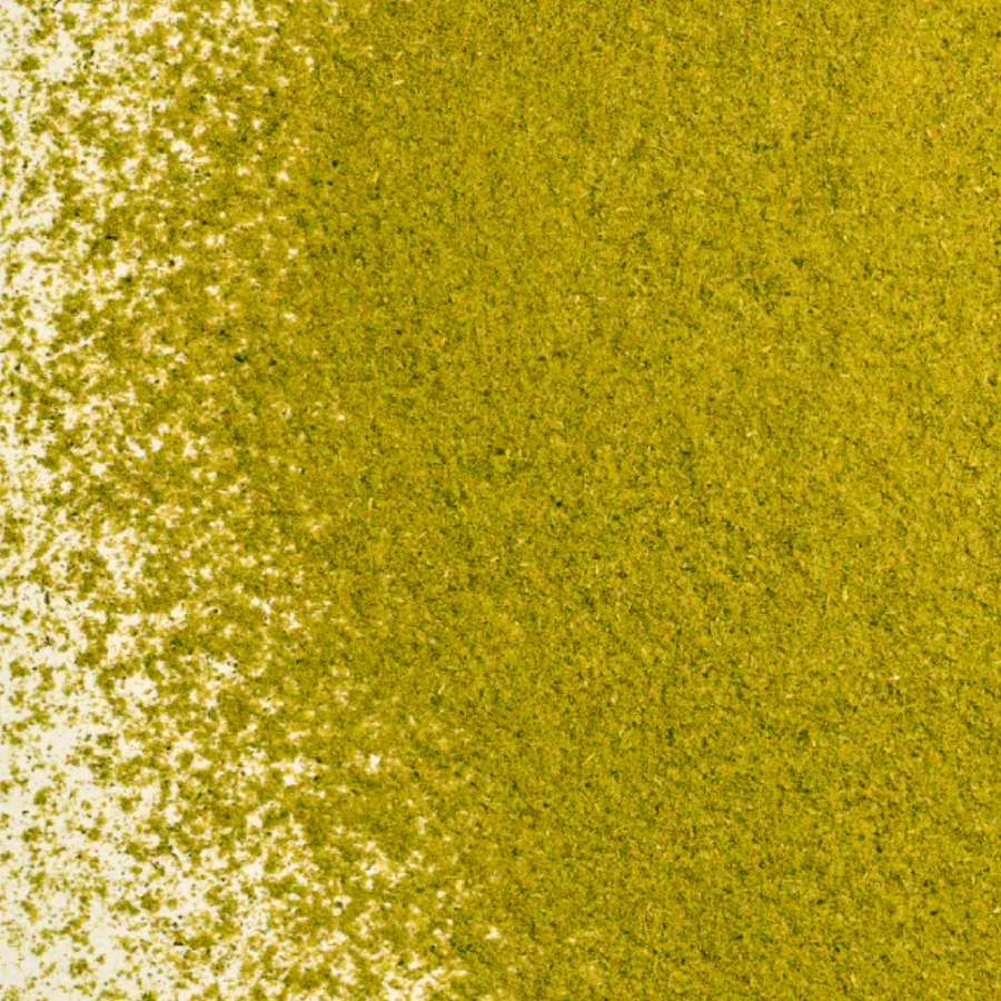 Oregano Powder