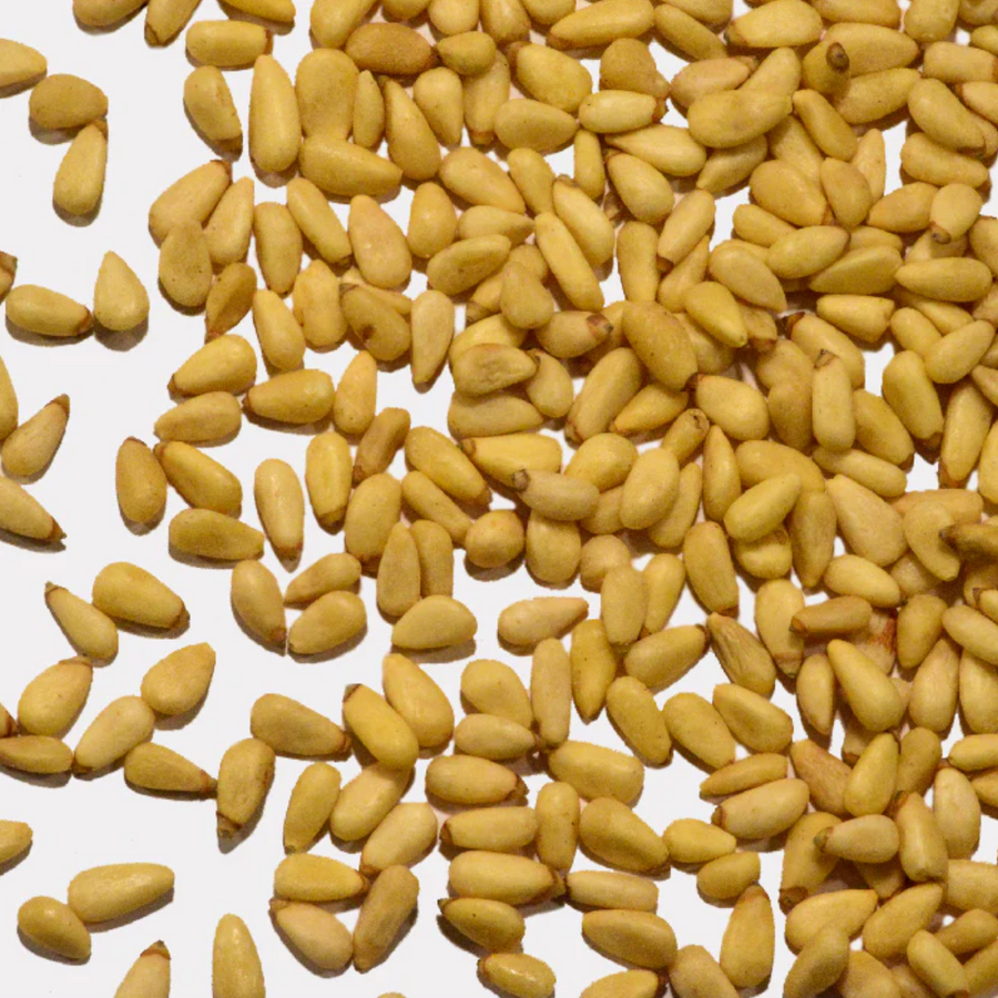 Raw Pine Nuts
