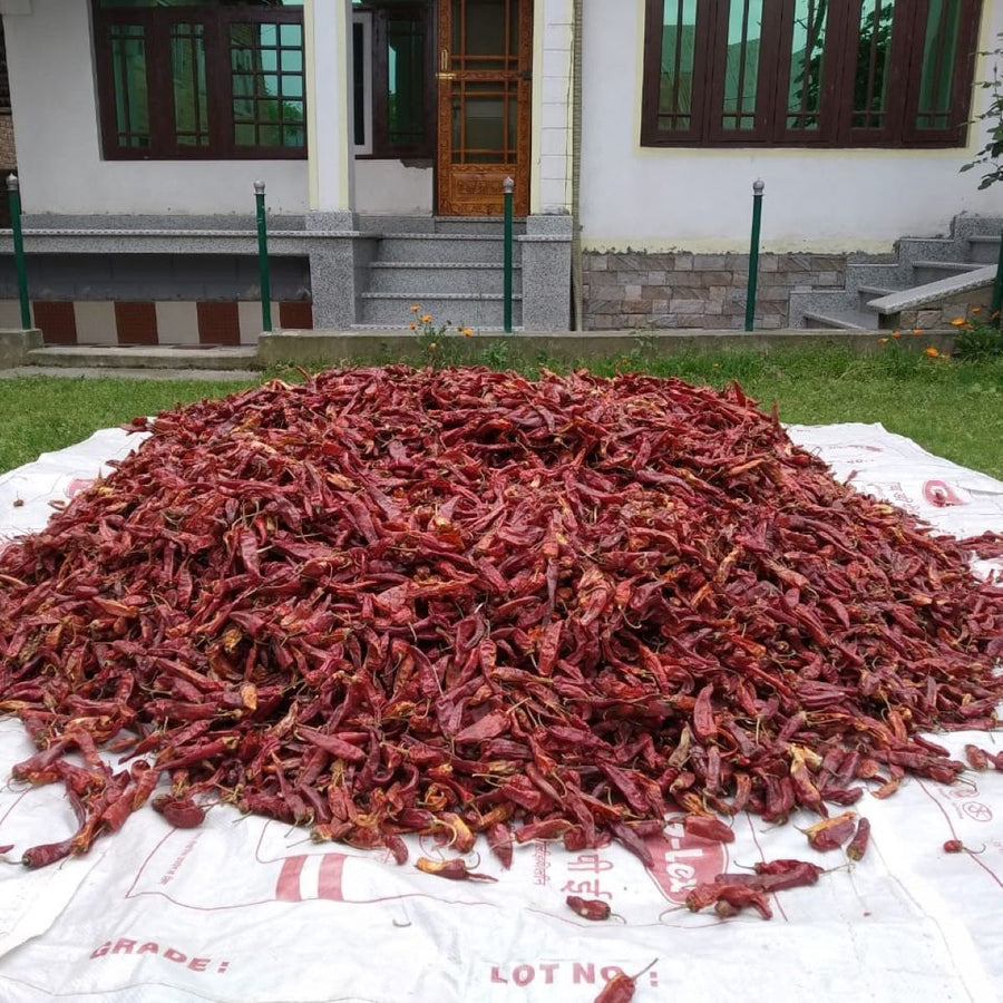 Kashmiri Red Chili Powder